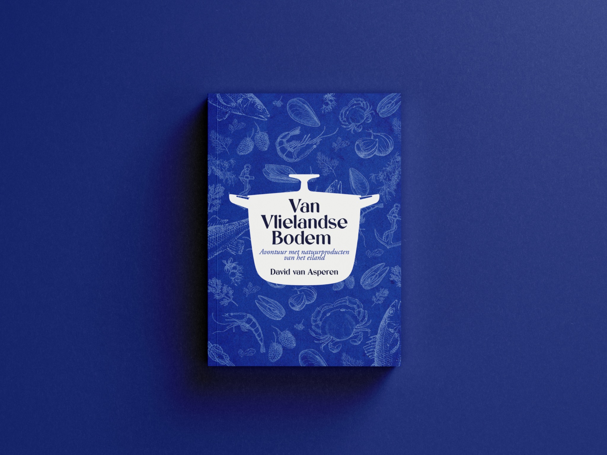 Van Vlielandse Bodem van David van Asperen, met de blauwe geïllustreerde omslag.